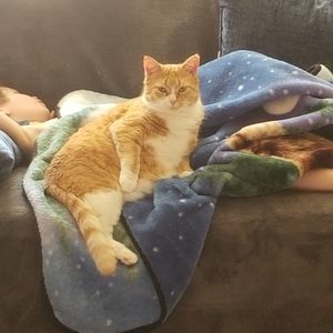 Meet your Posher, Wendy